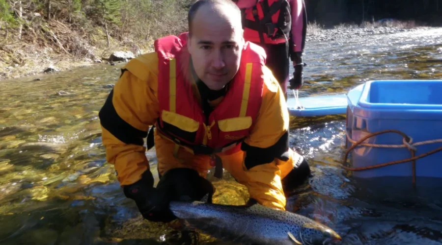 ASF Concerned About Growing Threats To The Salmon Population
