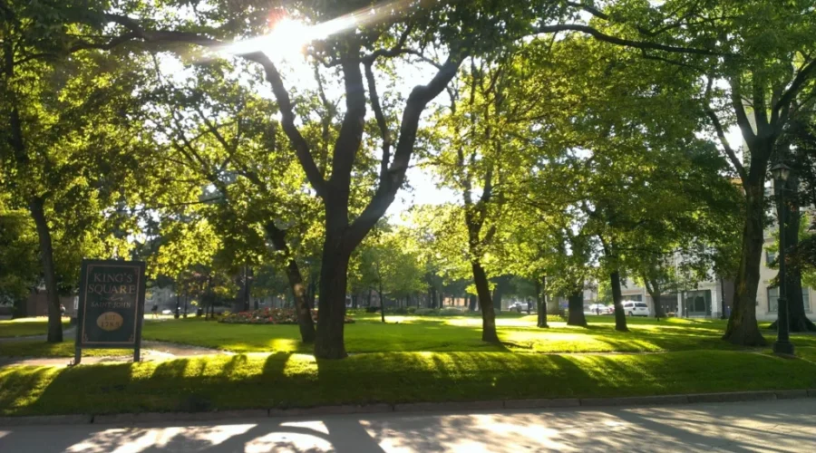 Summer Time, And The Livin’ Is Easy: What’s The Weather Outlook For the Coming Months?