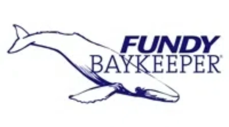 Baykeeper Expressing Concerns For Whales