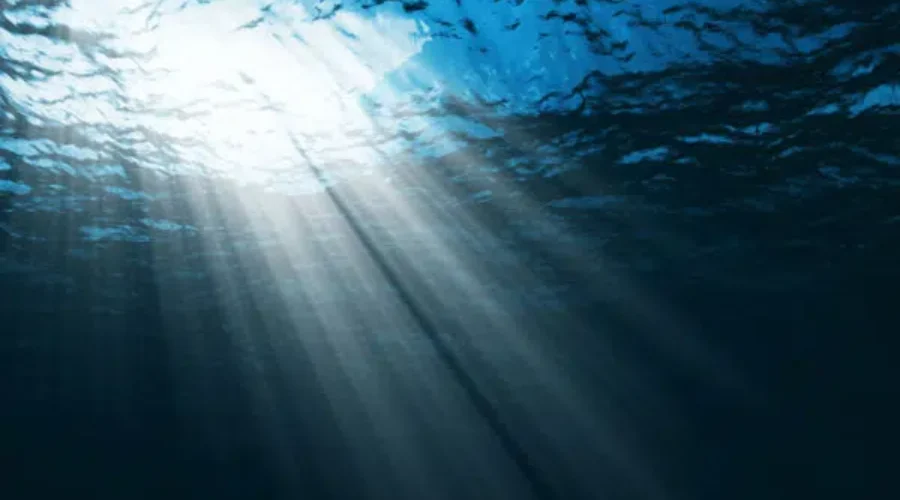 Ocean Floor Isn’t As Peaceful And Quiet As It Might Look