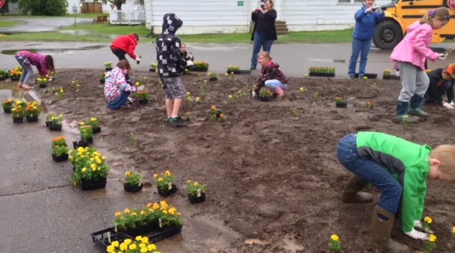 WATCH: Planting Marigolds for Veterans