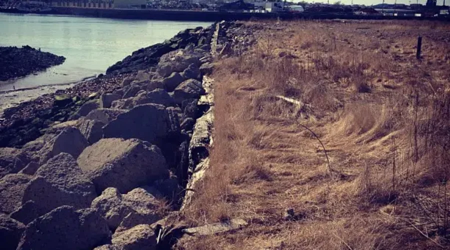 Tin Can Beach Getting Some Love