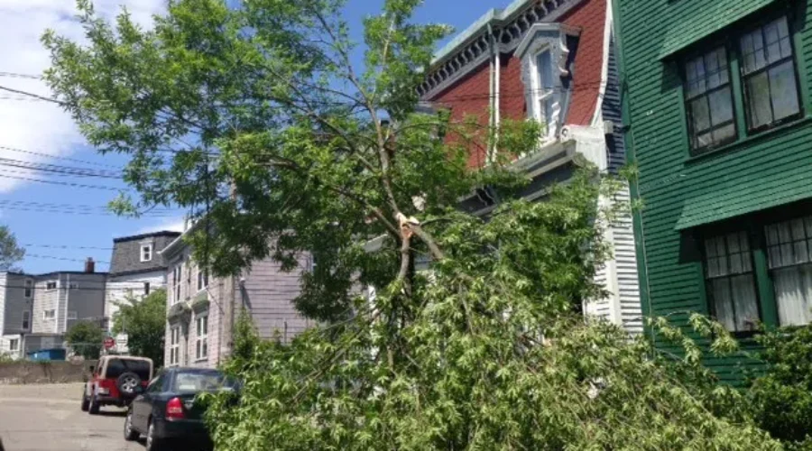 Cleanup Could Last A Week Or So