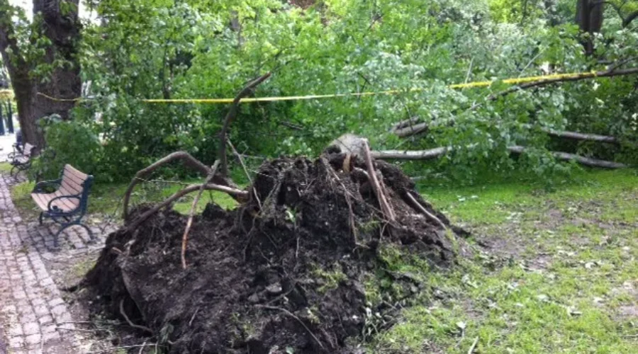 Most People Won’t Get Power Restored Until Mid Week