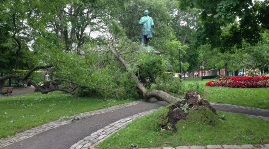 Norton Says Everyone Is Grateful No One Was Hurt In The Storm