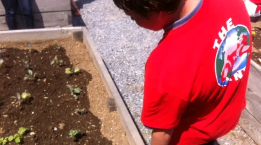 Positive Change Growing In The Old North End