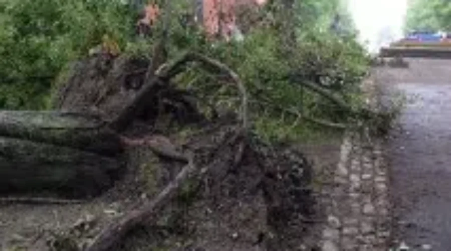 Province Asks Residents Without Power to Remain Patient