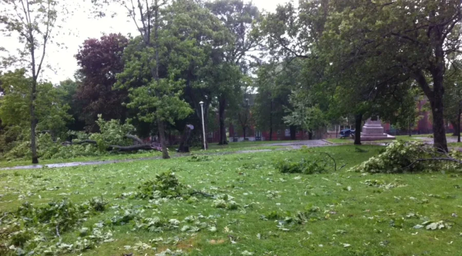Saint Johnners Advised To Stay Out Of Parks And Squares