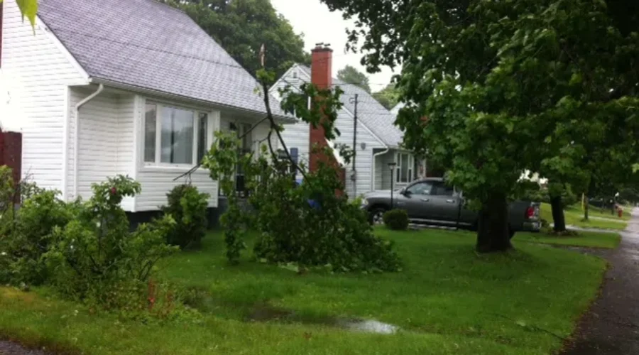Rothesay Will Help Residents Clean Up Storm Debris