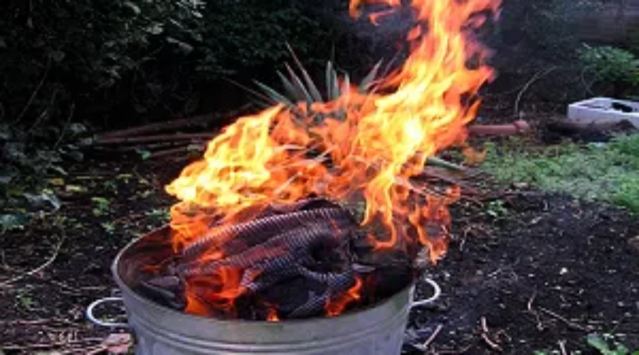 Losier Reminds Residents They Can’t Burn Brush
