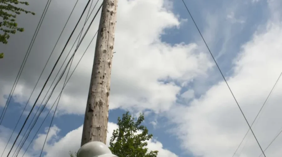 NB Power Claims 99 Per Cent Will Have Lights Back By Tuesday