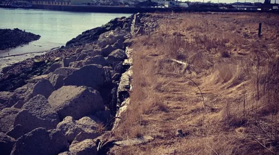 VIDEO: Tin Can Beach Is Getting A New Look