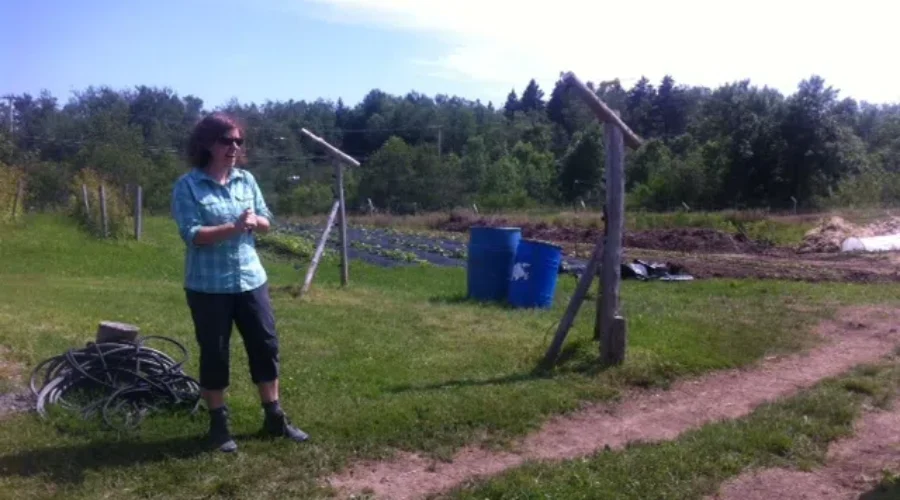 Urban Farming Growing In Popularity