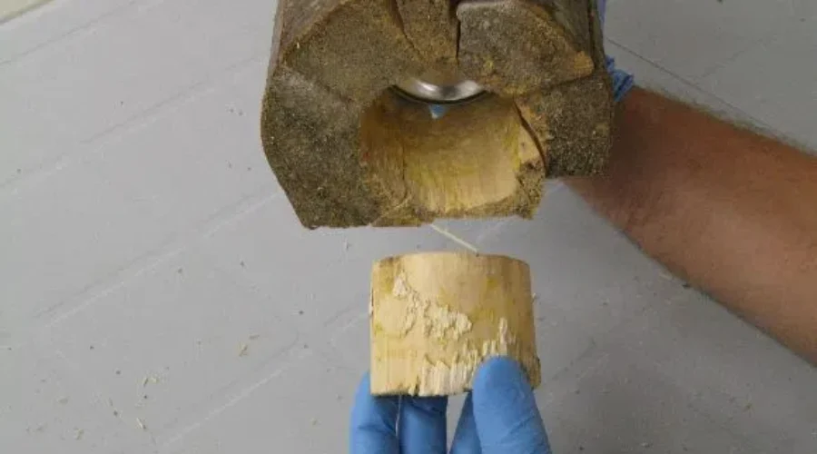RCMP Investigating Improvised Log Bomb