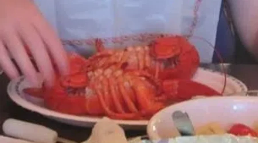 Lobster Fishermen Having Plentiful Season