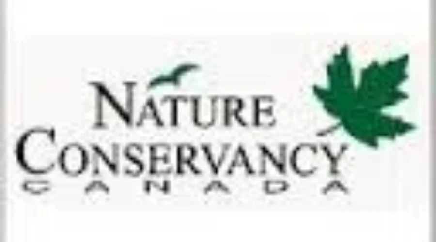 Volunteers Needed For Reforestation Project In Grand-Barachois