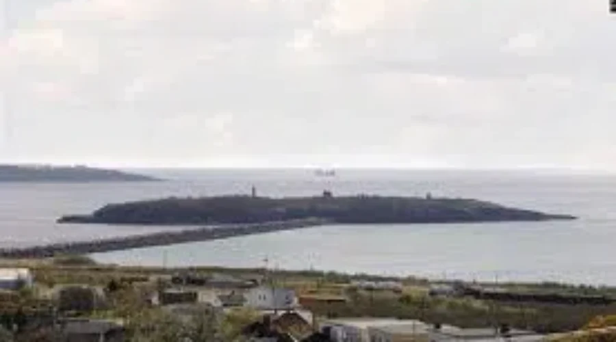 Partridge Island Momentum Continues