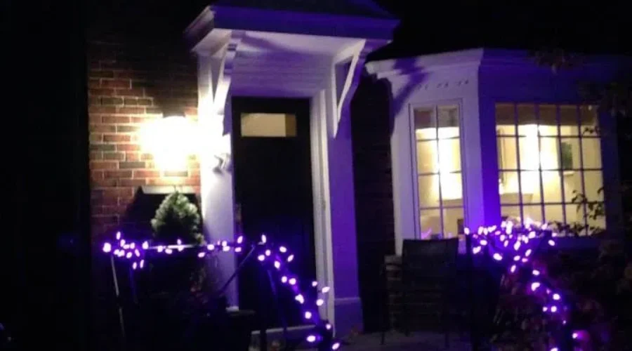 Cancer Foundation Launches Purple Lights Campaign