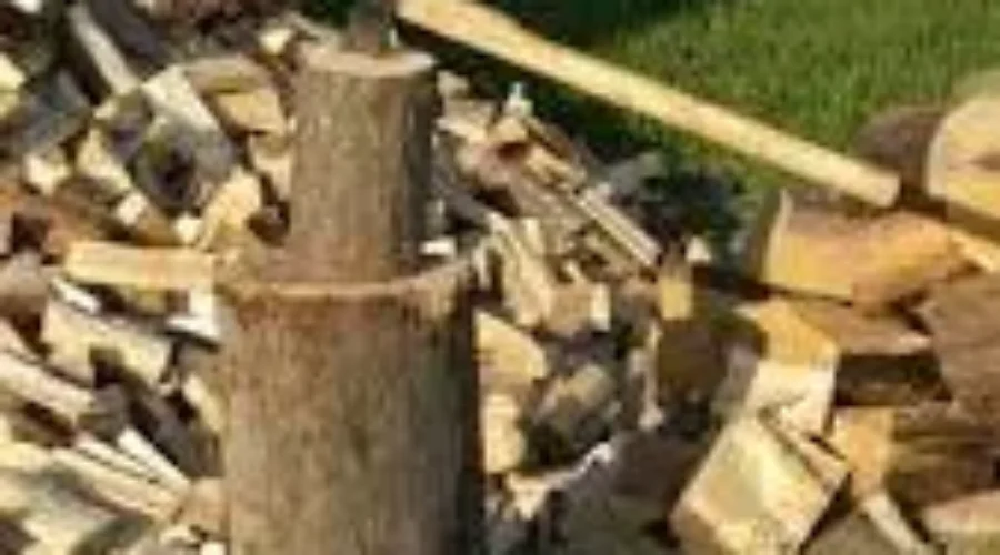 Don’t Get Burned By Quick-Buck Making Firewood Suppliers