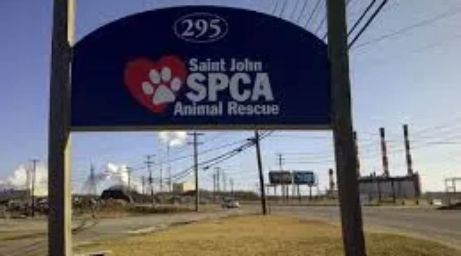 NB SPCA Preparing For Enhanced Animal Regulations Coming Into Effect Dec. 1
