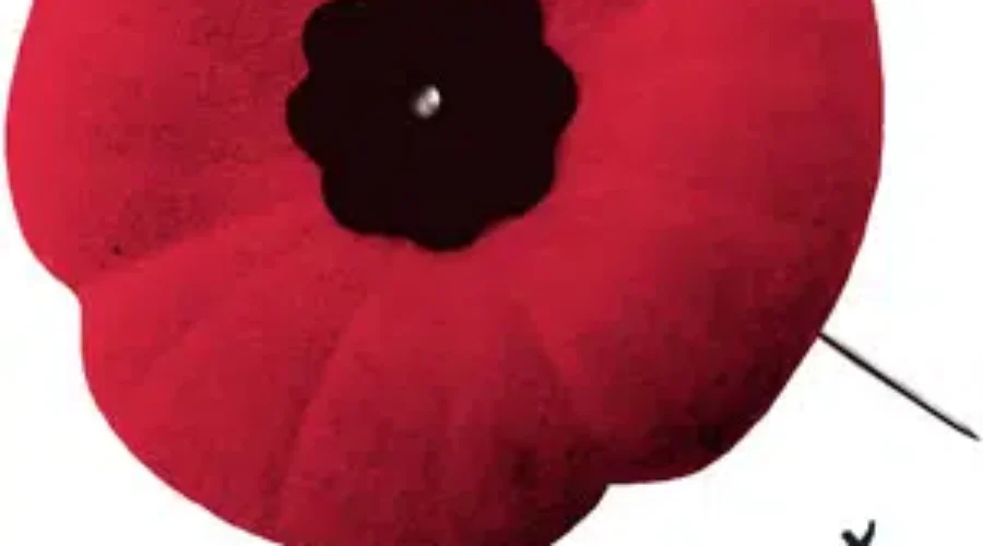 Premier Brian Gallant Delivers Remembrance Day Message