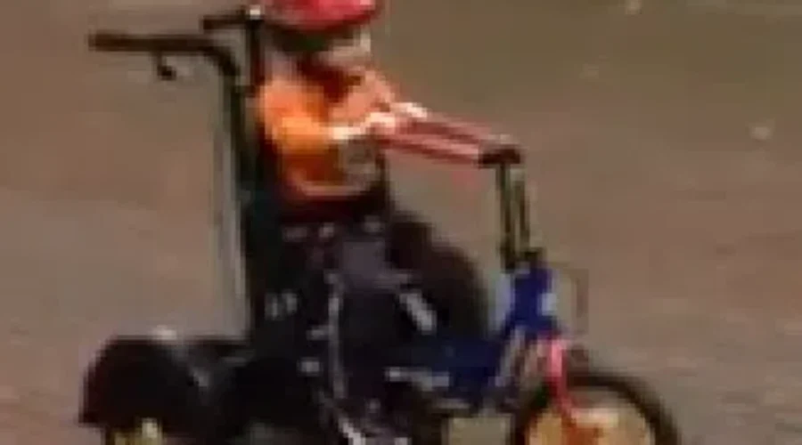 Friends Raising Money For Physiotherapy Tricycle For Dieppe Boy