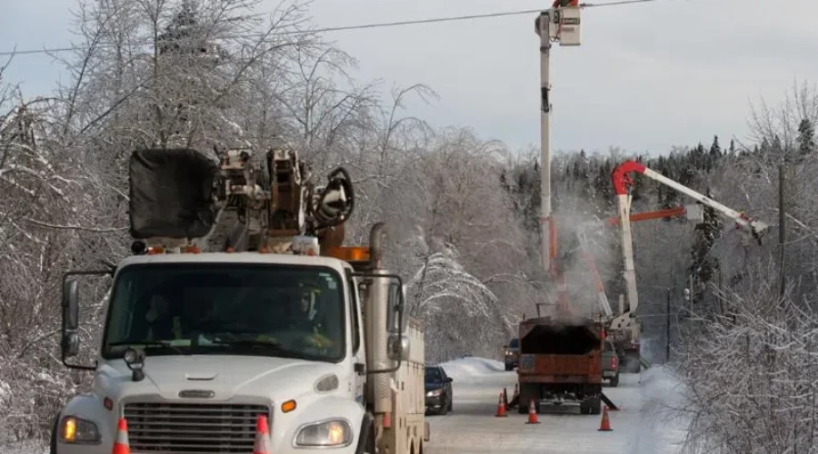 NB Power To Spend Millions More On Trimming Trees