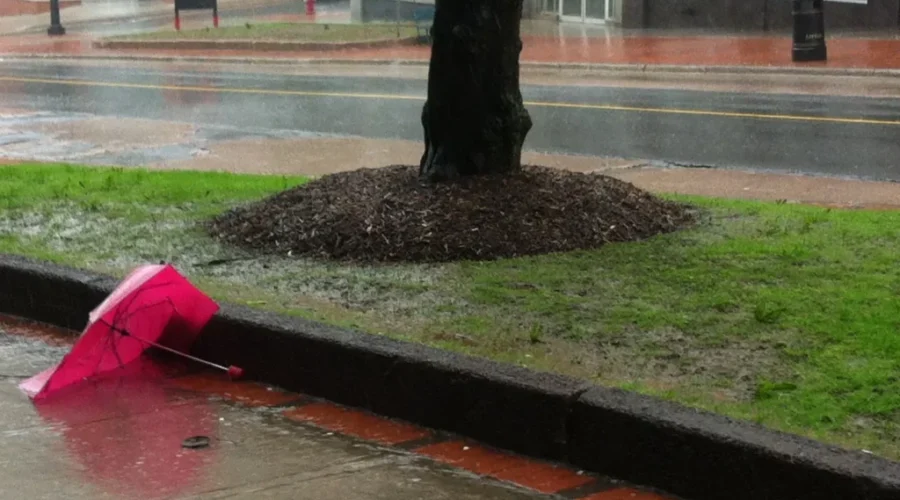 The Storm Is A Rain Event For Saint John