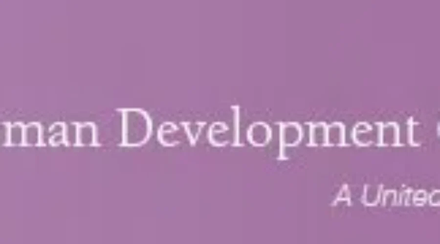 HDC Outlines Vision For 2015