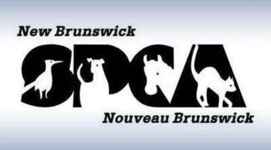NB SPCA Seeing Influx Of Calls During This Cold Snap