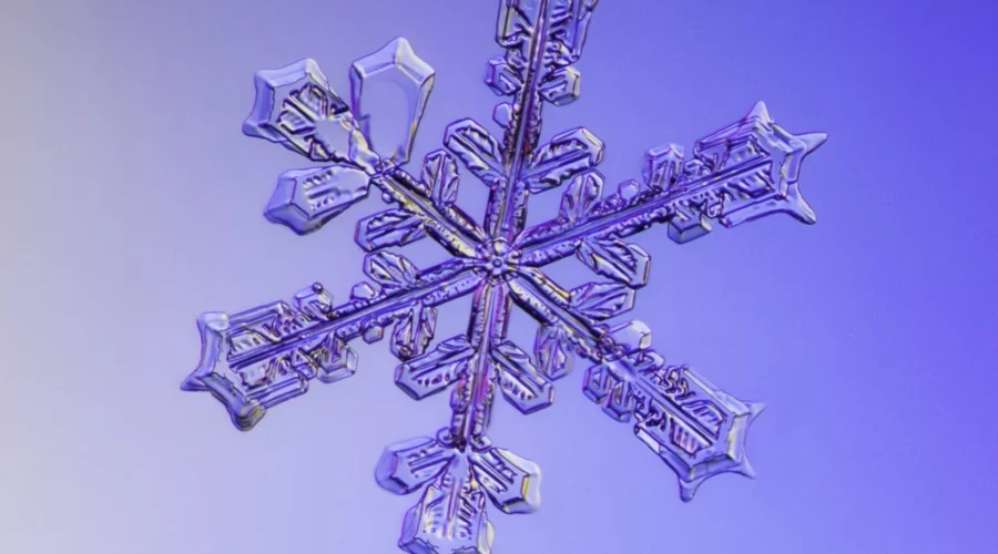 Blizzard Barreling Toward New Brunswick
