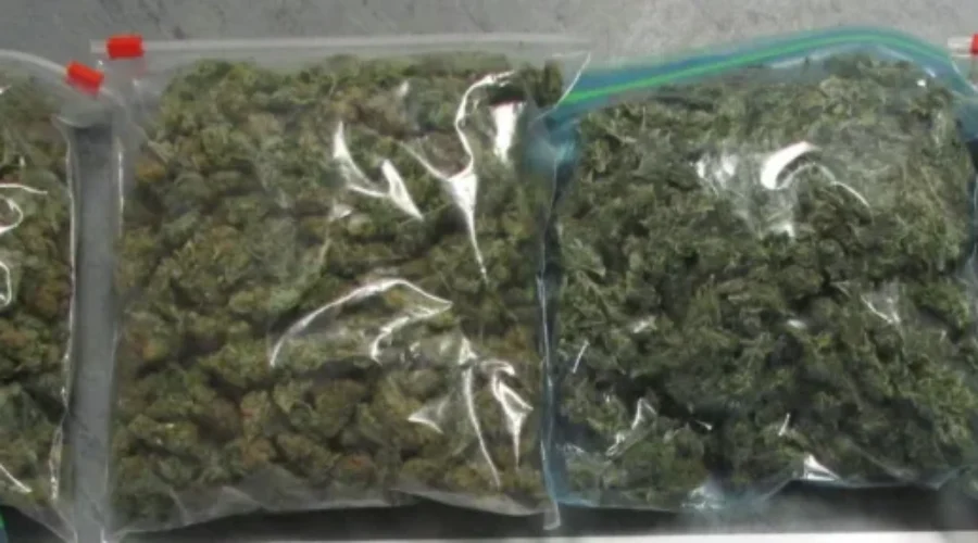 Officers Seize 1.4kg Of Weed At St. Stephen Border