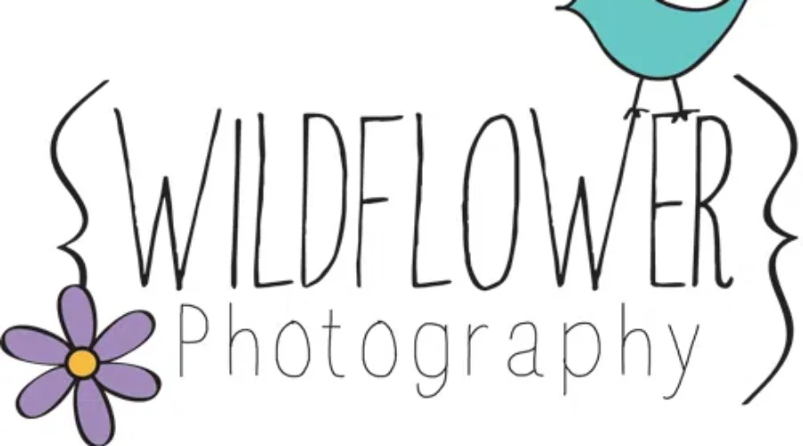 Local Photographer Enters Contest With The Hopes Of Expanding Her Business