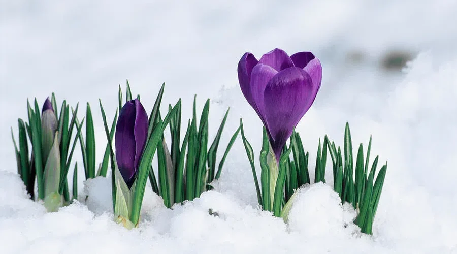 Month Of April To Be Colder Than Normal