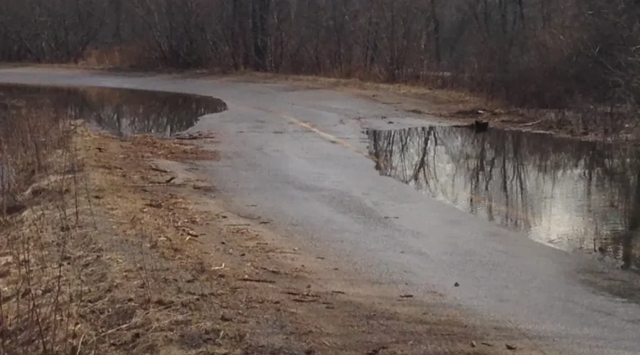No Boat Service If Flooding Isolates Darling’s Island