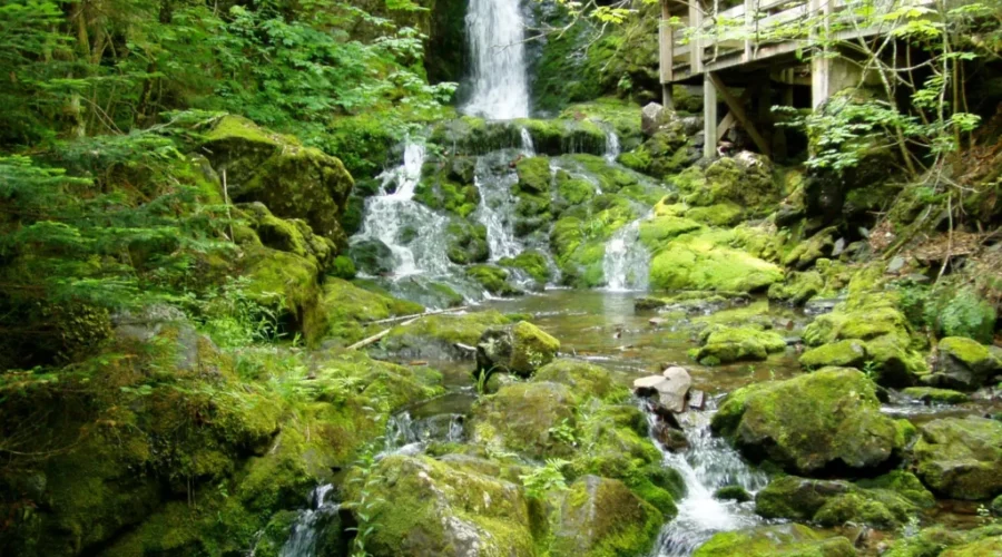 Fundy National Park, A Great Place To Visit