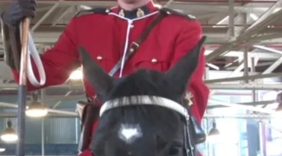 RCMP Musical Ride To Mark Anniversary Of Moncton’s June 4th Tragedy