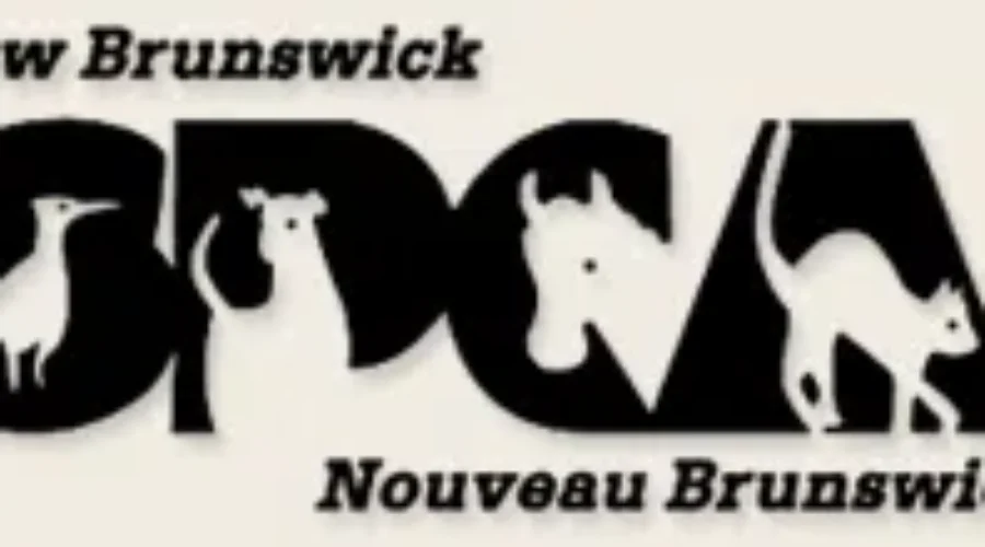 A Big Increase In Rabies In Province