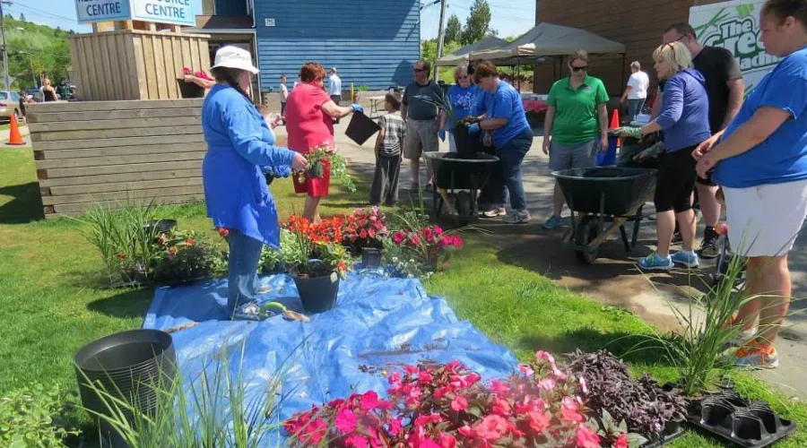 Crescent Valley Resource Centre Is a Busy Spot