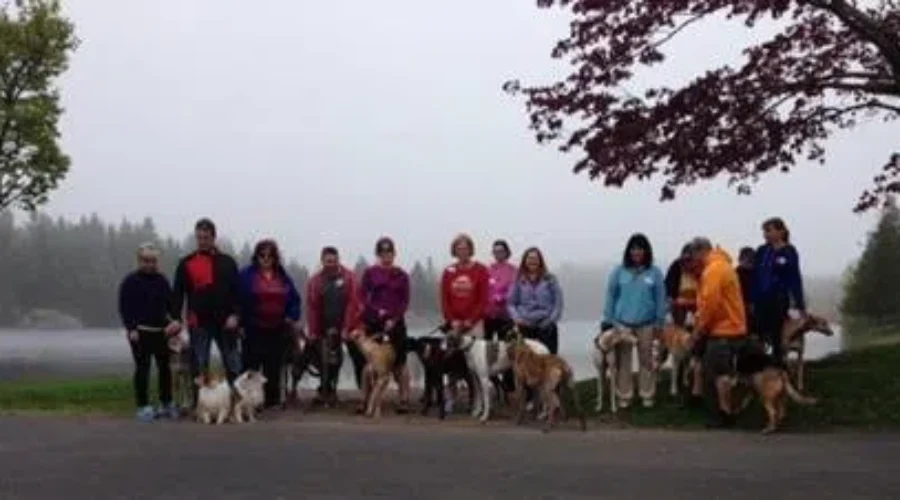 Hundreds Come Out To First Annual Walk For Hounds