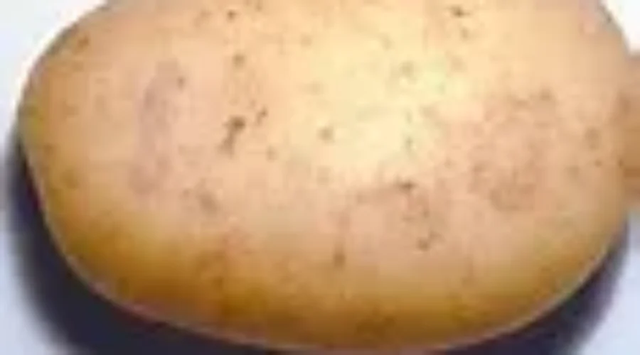 Another Incident of Potato Tampering In Nova Scotia