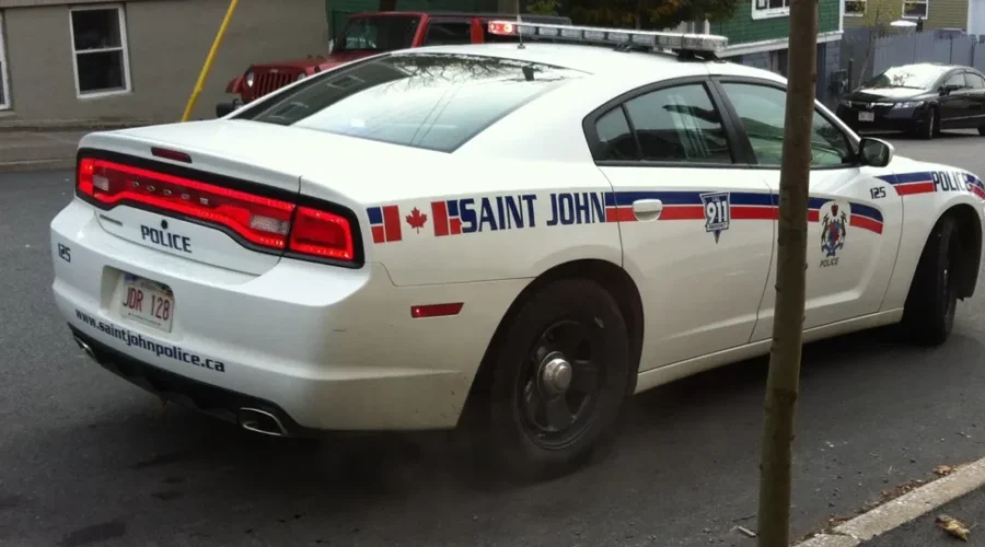 Two Masked Men Hurt Seniors During Robbery