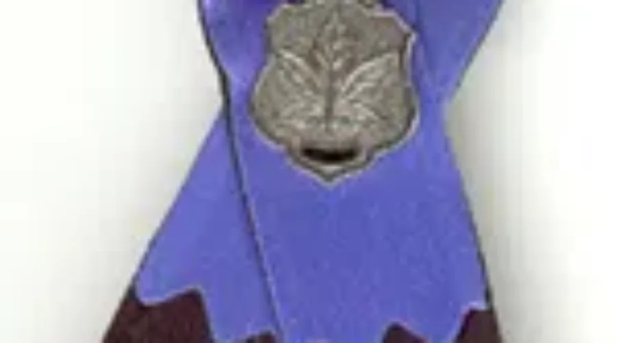 Many Remember Sea of Blue Ribbons As Officers Were Laid To Rest