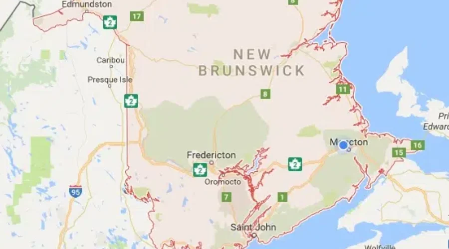 Auditor General Kim MacPherson Concerned About The Province’s Private Wood Supply