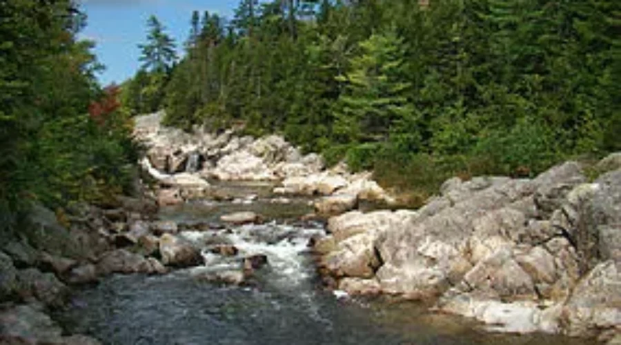 24 Hour Bio Blitz In Fundy National Park