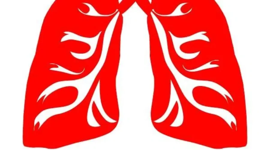 NB Lung Association Says Public Needs To Help Enforce New Smoking Laws