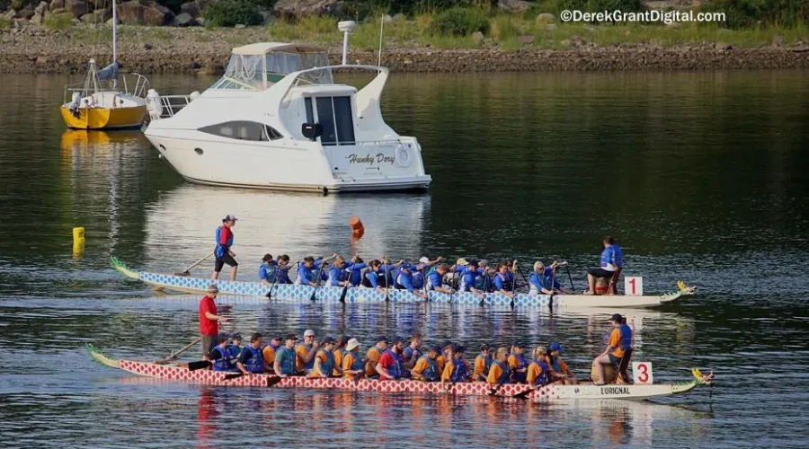 VIDEO: The 11th Dragon Boat Festival Nets $215K