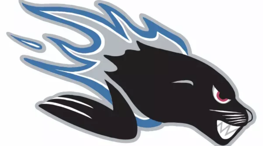 Losses From The Sea Dogs and the Alpines Last Night