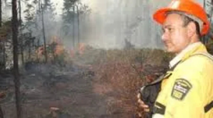 Forest Fire Extinguished