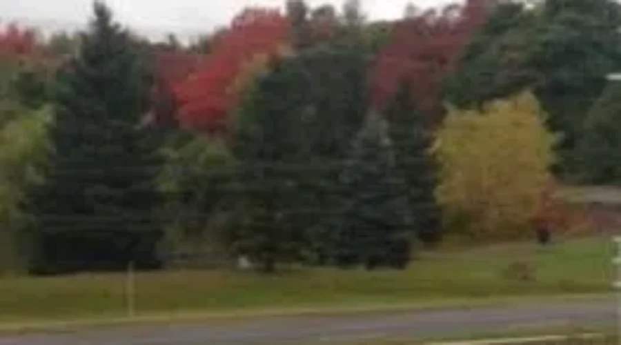 Welcome To Fall!